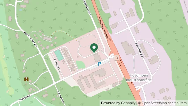 Kart som viser hvor Midtfylket Dyrlegekontor ligger: Industriveien, Hovdmoen industriområde, Nedre Neset, Åmot, 2450 Innlandet